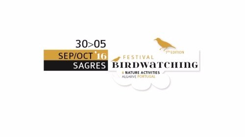 Birdwatching festival in Sagres